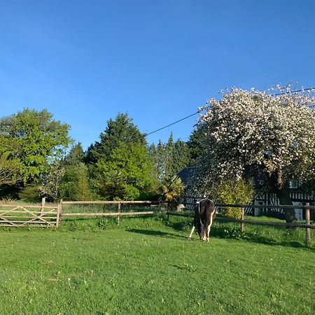 Gite Le Bonheur Est Dans Le Pre Saint-Pierre-Des-Ifs  Exterior photo