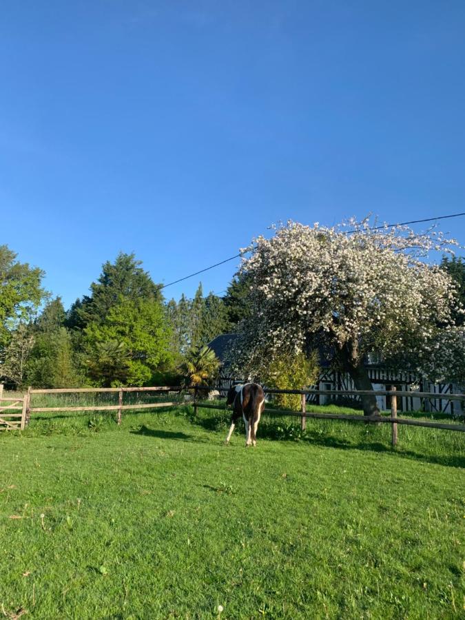 Gite Le Bonheur Est Dans Le Pre Saint-Pierre-Des-Ifs  Exterior photo