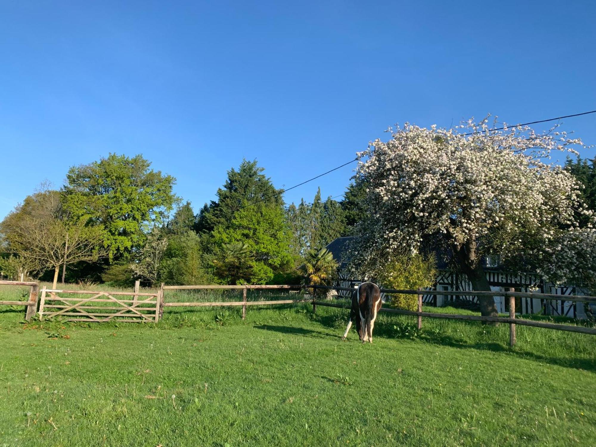 Gite Le Bonheur Est Dans Le Pre Saint-Pierre-Des-Ifs  Exterior photo