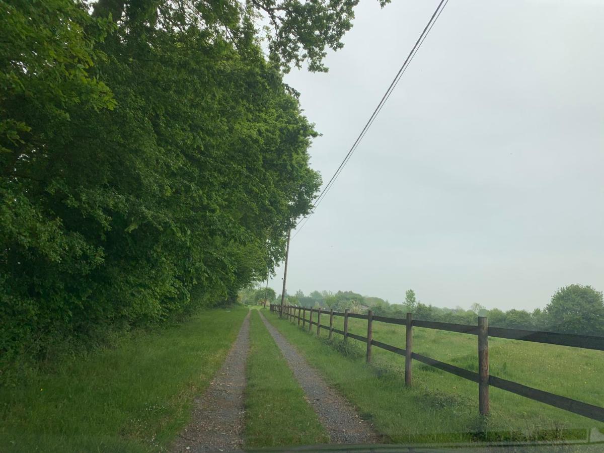 Gite Le Bonheur Est Dans Le Pre Saint-Pierre-Des-Ifs  Exterior photo