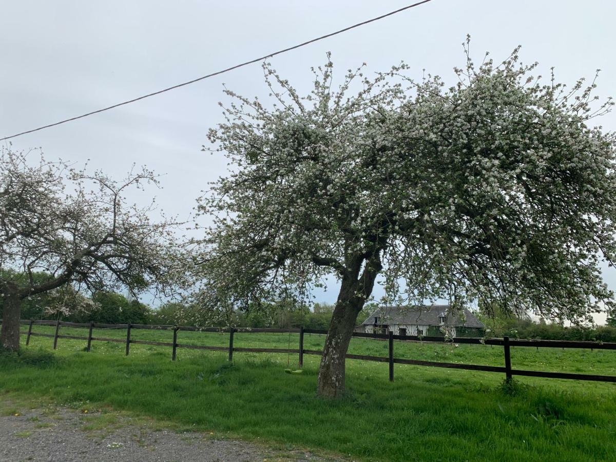 Gite Le Bonheur Est Dans Le Pre Saint-Pierre-Des-Ifs  Exterior photo